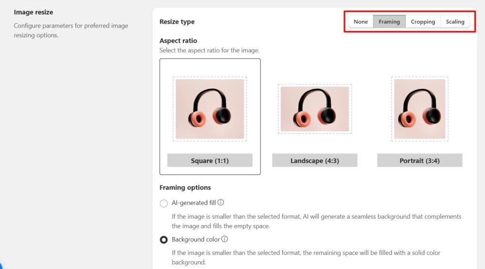 Image resize settings